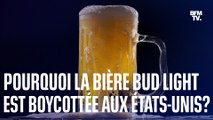 La bière Bud Light, de la marque Budweiser, boycottée par les conservateurs américains à cause d'un partenariat avec une influenceuse transgenre