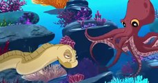 H2O: Mermaid Adventures E012