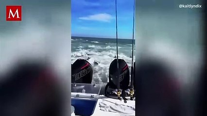 Grupo de pescadores en Estados Unidos son rodeados por tiburones