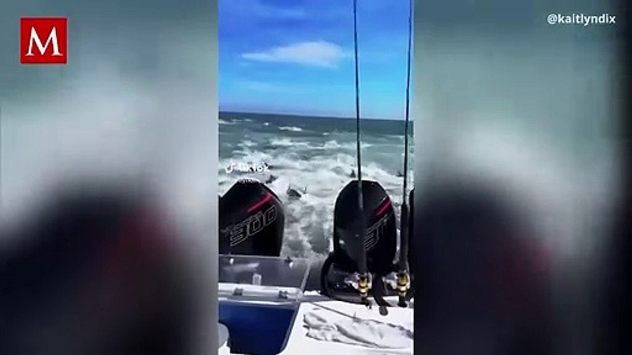 Grupo de pescadores en Estados Unidos son rodeados por tiburones