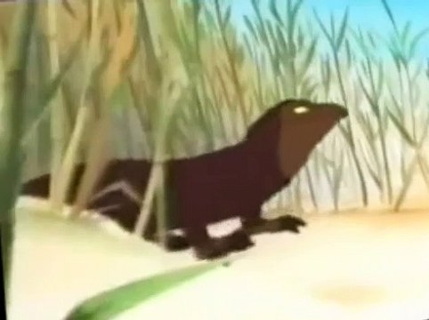 Noah's Island Noah’s Island S02 E013 Taking Tortoises to Diamantina