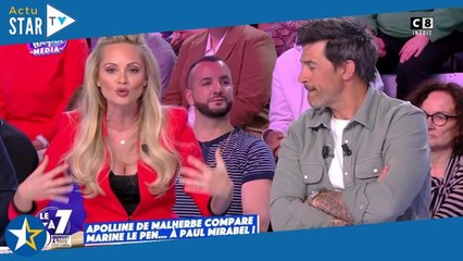 "Je ne peux pas la voir" : Apolline de Malherbe atomisée en direct par certains chroniqueurs de TPMP