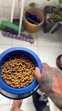 Picky Pup Persuaded by Pretend Preparation