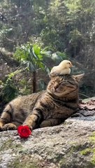 hhjjk llmnb asdfg tyuuu vvccc mmm