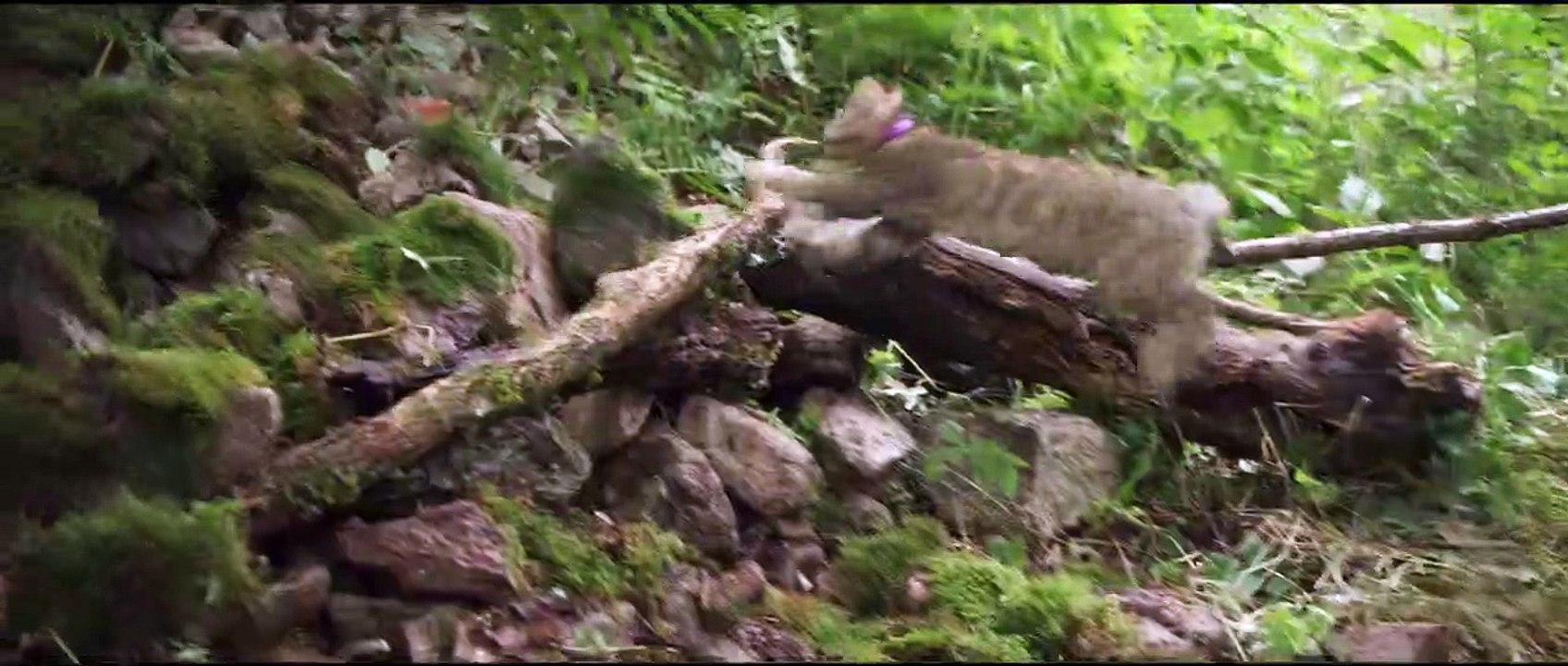 Mon chat et moi, la grande aventure de Rroû | movie | 2023 | Official Trailer