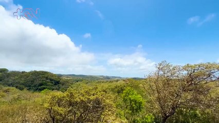 mqn-Viva San Jorge de Bagaces y toda su actividad turística.-140423