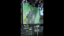 Senyuman Yang Dirindui