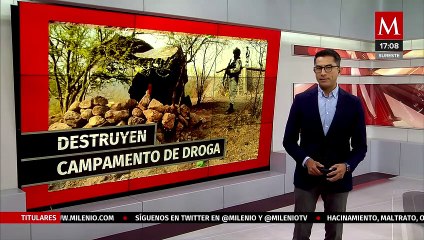 Guardia Nacional localiza un campamento clandestino y detuvieron a dos personas; Michoacán