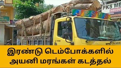 விளவங்கோடு: இரண்டு டெம்போகளில் அயனி மரம் கடத்தல் !