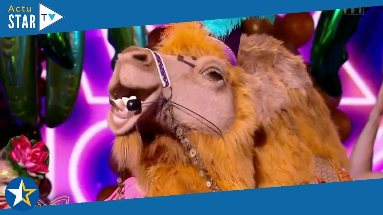 "Michou et Elsa Bois, sans conviction", "Elsa et Michou le chameau"... : les internautes quasi-unani