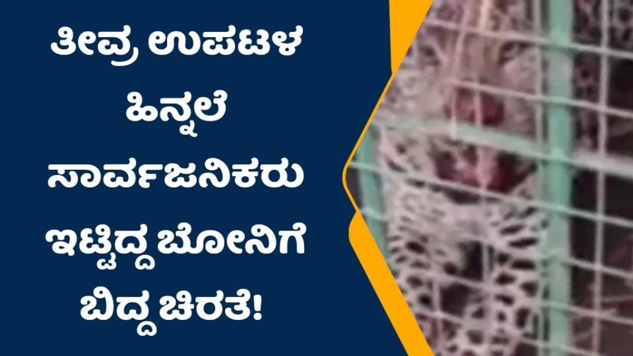 ಸಾರ್ವಜನಿಕರು ಇಟ್ಟಿದ್ದ ಬೋನಿಗೆ ಬಿದ್ದ ಚಿರತೆ!