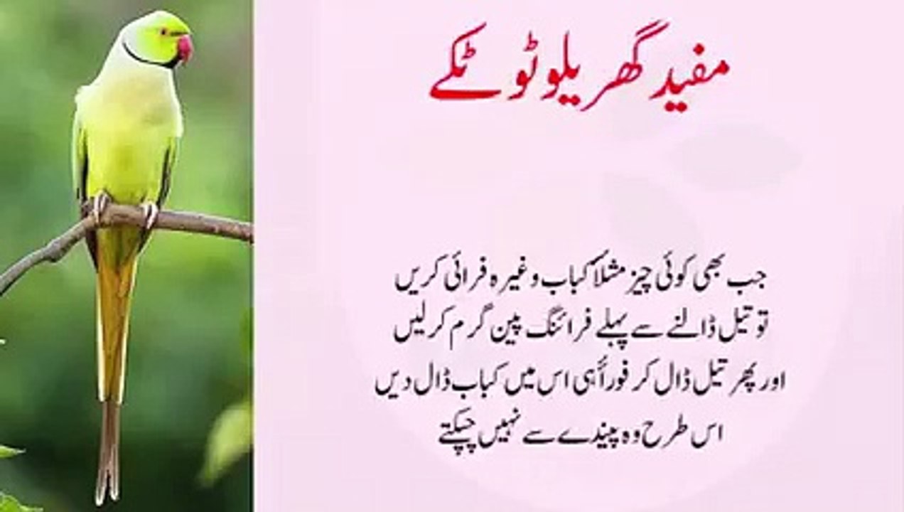 mufeed or behtreen  japani totkey