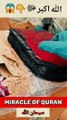 Miracle of Allah | Islamic Shorts | سبحان الله
