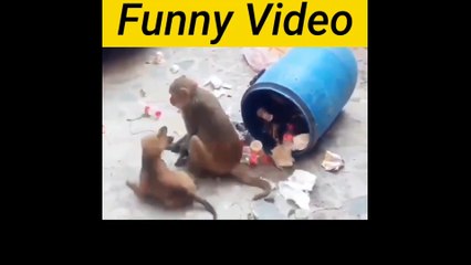 😂 Hilarious Funny Videos You Can't Miss!