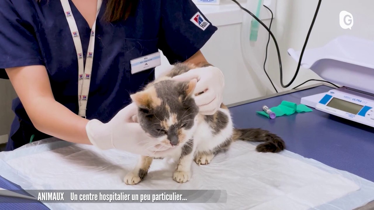 JT DES TERRITOIRES - 15/04/23 -CHASSE - ARMÉE - TOURISME - VENTE