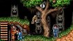 Super Ghouls'n Ghosts online multiplayer - snes