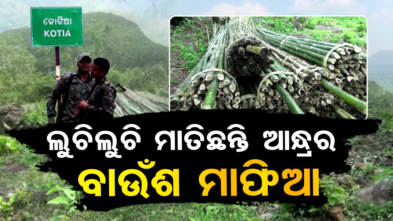Andhra Pradesh’s bamboo mafia sets eyes on bamb...