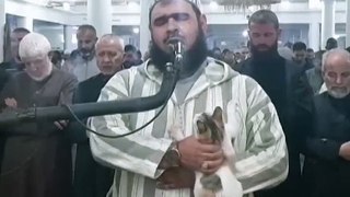 Cat jumps on sheikh leading prayer. See his reaction