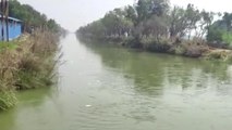 फिरोजाबाद: 35 वर्षीय युवक नहर से मिला शव, हत्या की आशंका