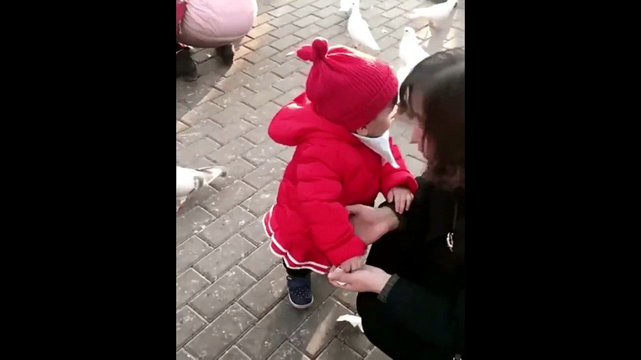 bayi kecil menangkap merpati