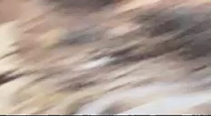 Aunt Desi's House Ocala, FL 2021