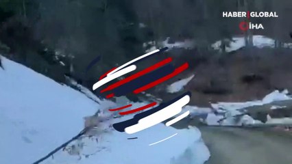 Düzce ormanlarından belgesellik görüntüler! Sürprizle karşılaştılar...