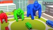 Learn Colors with Giant Colored Gorilla Drinking Gasoline | Fun Learning KidsToon Cartoon