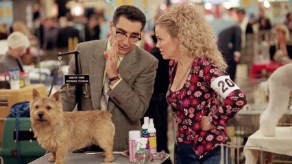 Best in Show Movie (2000) - Jennifer Coolidge, Christopher Guest, John Michael Higgins