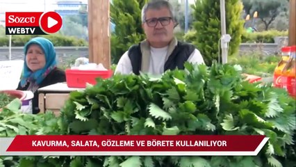 Fiyatlar uçunca tencereler otla kaynamaya başladı!