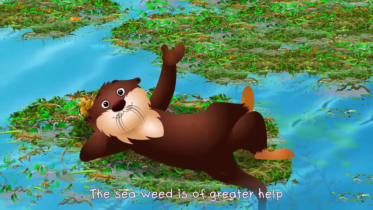 ChuChu TV Classics - Sea Otter _ ChuChuTV Sea World _ Animal Songs For Children