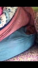 Saklanma konusundaki başarısı, Türk polisinin bulma konusundaki başarısına yenik düştü