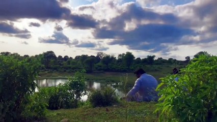 Timelapse 4k pond side water