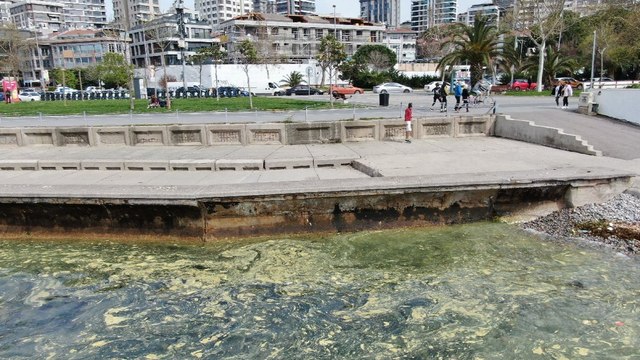 Marmara’da endişelendiren görüntü