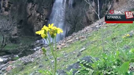 Şırnak’ta sel sonrası dev şelale oluştu