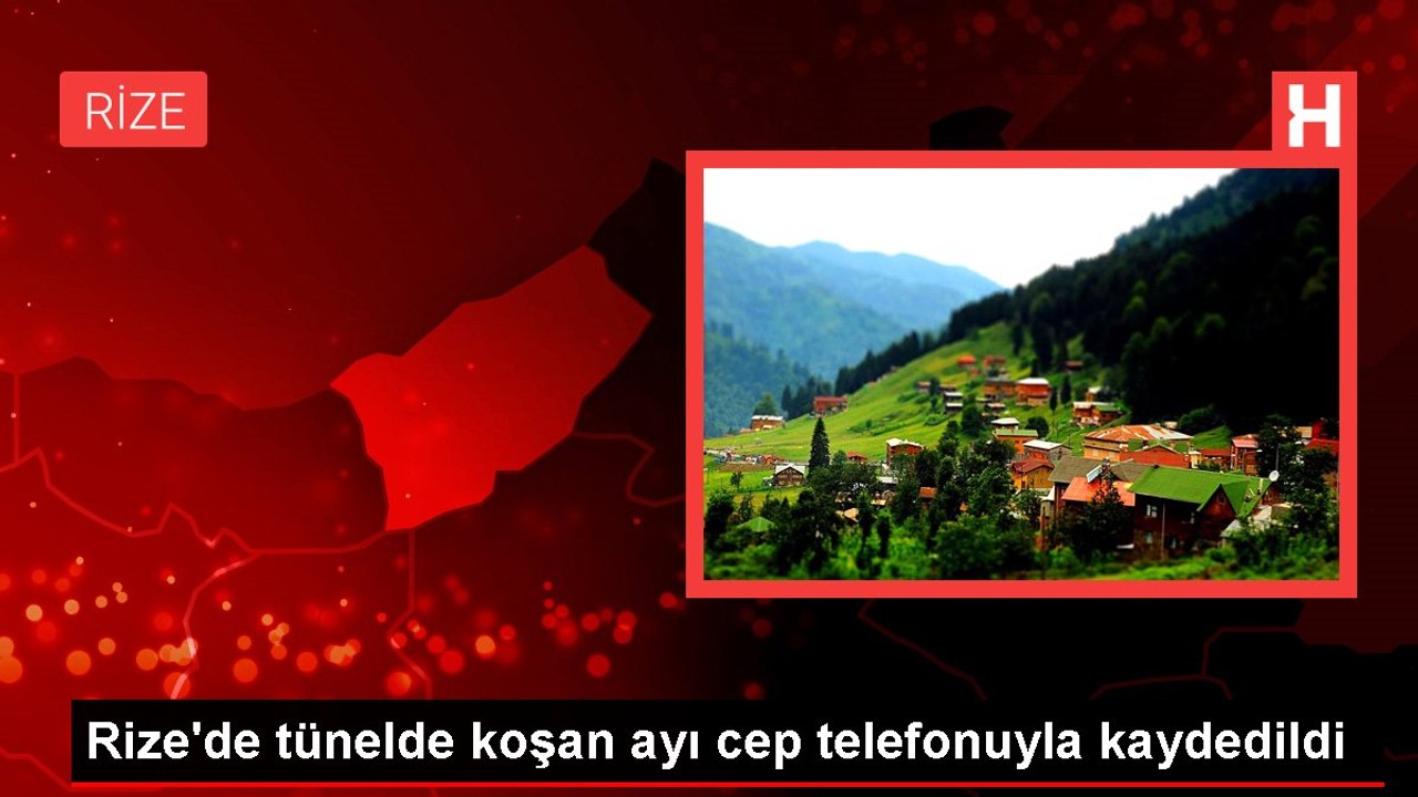 Rize'de tünelde koşan ayı cep telefonu kamerasında! Vatandaşın sözleri gülümsetti