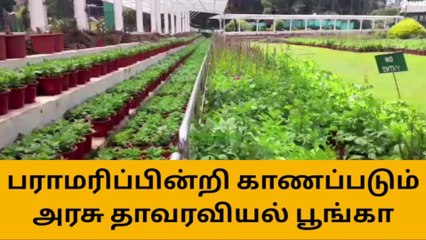 நீலகிரி: தோட்டக்கலை தொழிலாளர்கள் தொடர் போராட்டம்