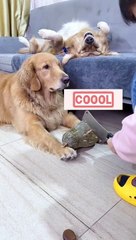 Go to your work lady!!leave me alone