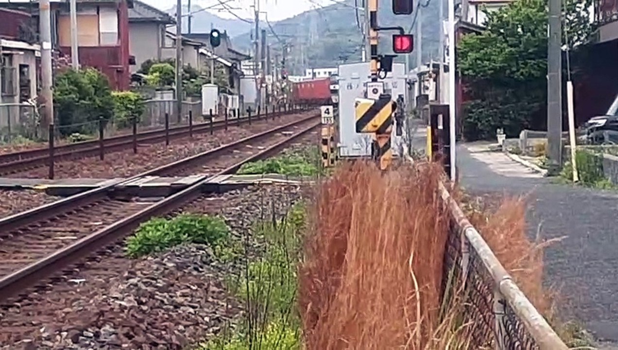 20220423_130612 その172 8053列車・8053列車 No.172 8053 and 8053 trains