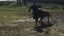 'Crash wallop BANG!' - Pony riding disaster sends woman straight to hospital