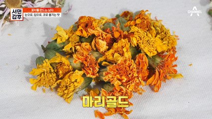 [#서민갑부] ✿꽃 구경✿ 막차 탈 사람? 영롱한 꽃차 한 잔으로 연인과 분위기 있는 데이트 완성(〃ꇴ〃) #꽃차 #용산 #티백