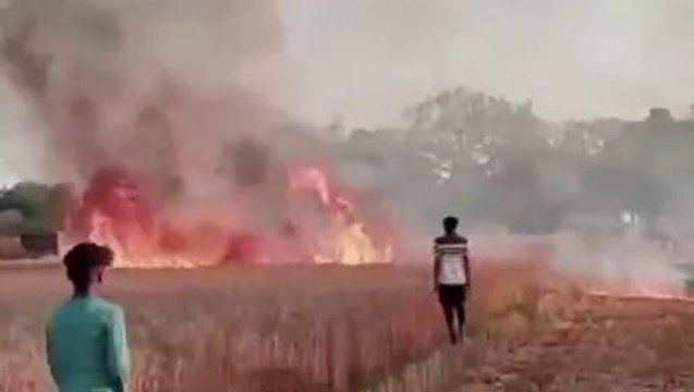 सुलतानपुर: गेहूं की खड़ी फसल में लगी भीषण आग, फायर ब्रिगेड ने ग्रामीणों की मदद से पाया काबू
