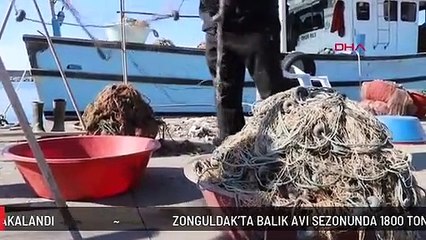 ZONGULDAK'TA BALIK AVI SEZONUNDA 1800 TON BALIK YAKALANDI