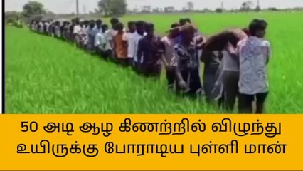 திருவள்ளூர்: கிணற்றில் விழுந்து உயிருக்கு போராடிய புள்ளி மான்!