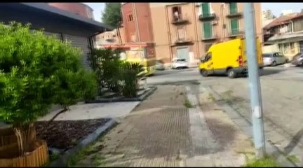 RTP Telegiornale 15 aprile 2023