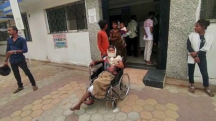 महुआ चुनने गई महिला पर जंगली सूकर ने किया हमला