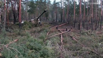 A demokrácia és a diktatúra háborúja zajlik az Ukrajnáért harcoló belaruszok szerint