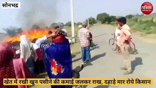 Sonbhadra: लाखो रूपये मूल्य के गेहूं में लगी आग, आग बुझाने में किसान का बेटा झुलसा