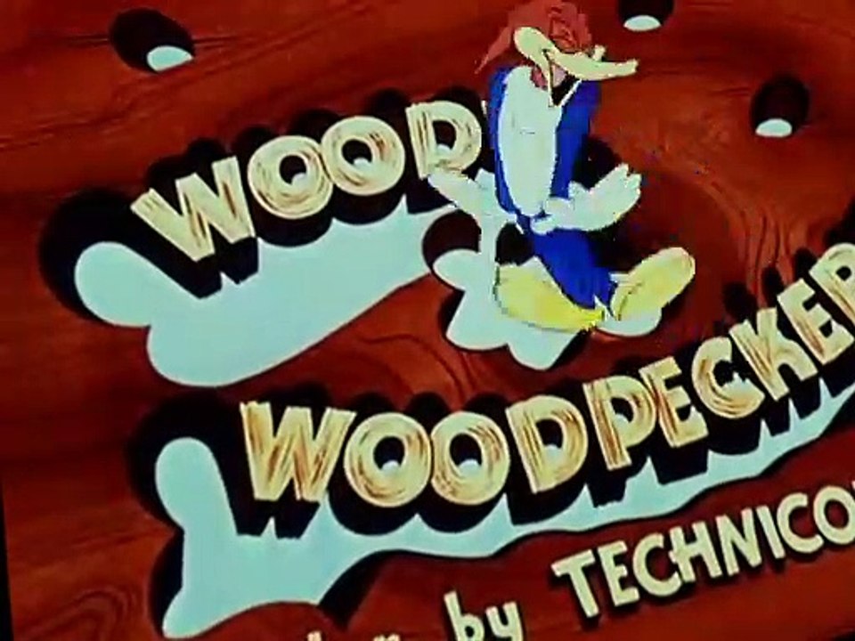 Woody Woodpecker Woody Woodpecker E047 – Buccaneer Woodpecker