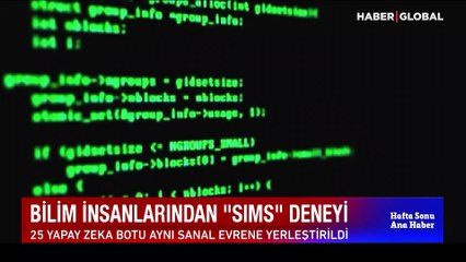 Bilim insanlarından "Sims" deneyi