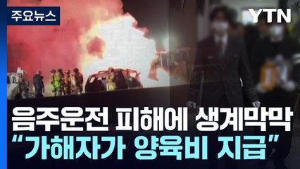 음주운전 피해에 생계 막막..."해외에선 가해자가 양육비 지급" / YTN